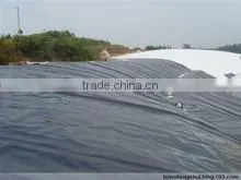 0.2-4mm Manufacturer of Hdpe Geomembrane thumbnail-1