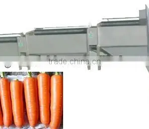 Carrots Cleaning Machine|Vegetable Cleaning Machine|Carrot Cleaner thumbnail-1