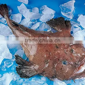 Frozen Fresh All Size Anglerfish thumbnail-1