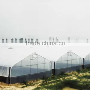 Single Span Commercial Greenhouse for Flowers and Vegetables thumbnail-1