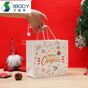Customized Logo Printed Luxury Eco-Friendly Ribbon Handles Art Cardboard Gift Shopping Paper Bag thumbnail-5