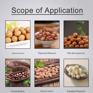 Professional Peanut Baking Machine Commercial Nut Roasting Equipment for Food Processing Plant and Large Snack Factories thumbnail-5