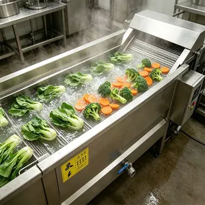 Professional KI-055 Vegetable Blanching Machine 200kg/h High Efficiency Gas Heated Potato Blancher for Snack Food Factory thumbnail-5
