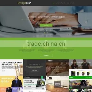 Professional Web Development thumbnail-2