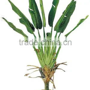 Artificial Plants, Artificial Banana Trees,artificilal Bird of Paradise thumbnail-3
