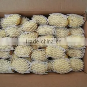 New Crop Potato Stick With High Quality thumbnail-1