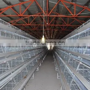Stainless Steel Metal Chicken Farm Equipment thumbnail-2