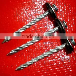 Ethiopia Market Good Quanlity Galvanized Twisted Nails thumbnail-2