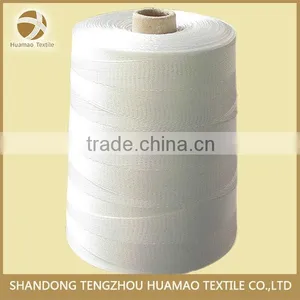 Good Teancity Wholesale Colorful pp Twine thumbnail-4