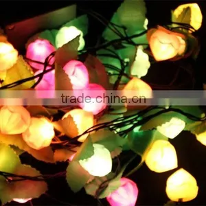 New Product Special Design Outdoor Christmas Led String Light From China thumbnail-2