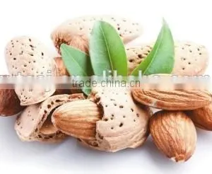 Pure Sweet Almond Oil Vegetable Oil Plant Oil Essential Oil In A Bulk China Manufacturer thumbnail-2