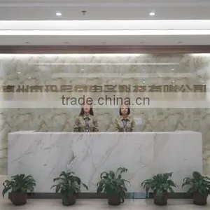 Huizhou Many Micro Electronics Technology Co., Ltd. company overview - view 1 thumbnail