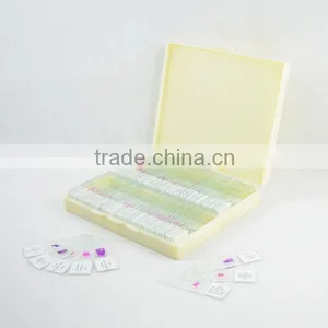 Human Dental Medical Oral Histology Tooth Slides thumbnail-1