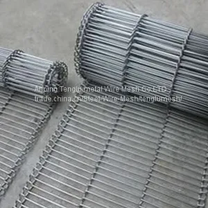 Ladder Belt Mesh/Chocolate Conveyor Belts/Escape Belts thumbnail-1