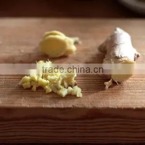 VIETNAM OLD FRESH GINGER SUPPLIER COMPETITIVE PRICE thumbnail-1