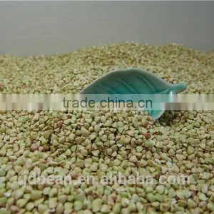 High Quality Sweet Raw Buckwheat Roasted Buckwheat Price thumbnail-5