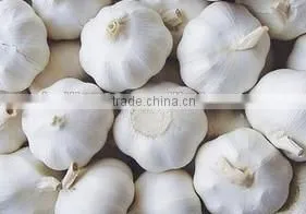 2015 Natural Fresh White Garlic Wholesales thumbnail-1