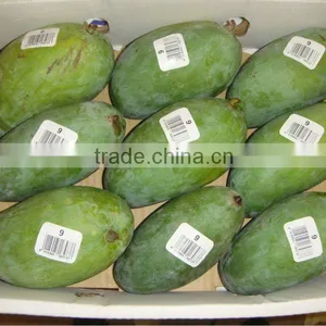 Pakistani Honey Chaunsa Mango thumbnail-1