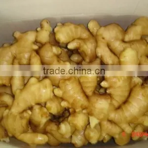 2011 Chinese New Fresh Ginger thumbnail-1