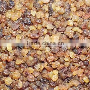 INDIAN MALAYAR RAISIN BEST RATE thumbnail-2
