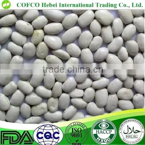 Medium White Kidney Beans thumbnail-1