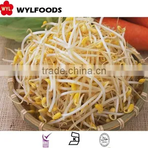 High Quality Frozen Soybean Sprout 2015 Best Price thumbnail-2