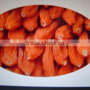 Goji Berry for Medicines thumbnail-5