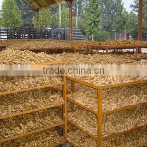 Fresh Air Dried Ginger thumbnail-4