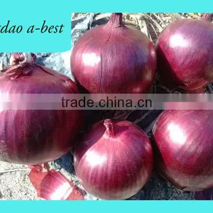 Fres Onion thumbnail-2