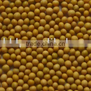 Organic Soybean thumbnail-1