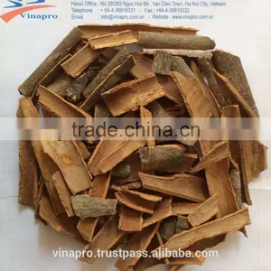 VIETNAM BROKEN CASSIA FOR INDIA MARKET NEW CROP thumbnail-3