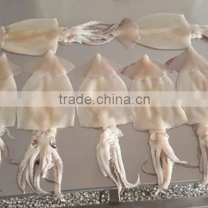 SQ-400 High Efficiency Fish Skin Remover Removing Removal Machine thumbnail-5