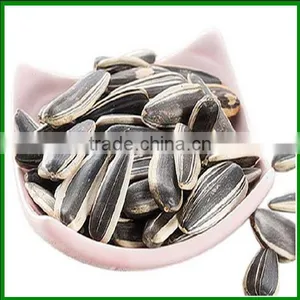 Sale Best Quality and Cheap Raw Sunflower Seeds 5009 in Bulk thumbnail-2