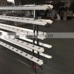 Vertical Hydroponic System thumbnail-6