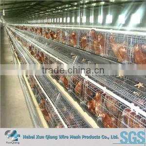 Chicken Cage for Poultry Layer for Nigeria thumbnail-1