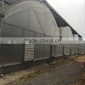 China Industrial Centrifugal Air Blower Fan and Industrial Fan thumbnail-5