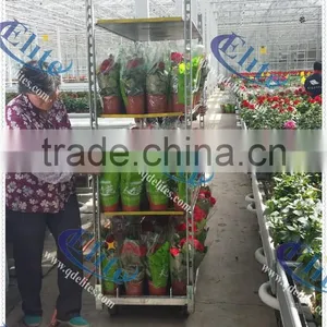 723 Garden Center Tools thumbnail-1