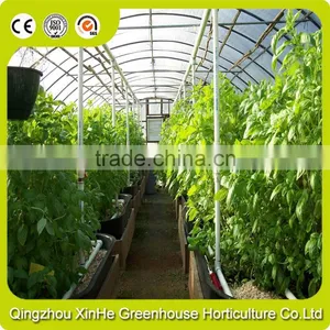 Hot Sale Newest Cheapest Greenhouse For Agriculture thumbnail-1
