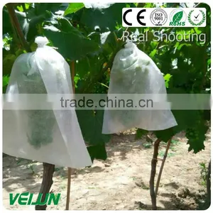 Nonwoven Fabric for Agriculture thumbnail-2