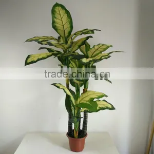 Fake Decorative Dieffenbachia Rohdea Artificial Evergreen Wholesale thumbnail-5