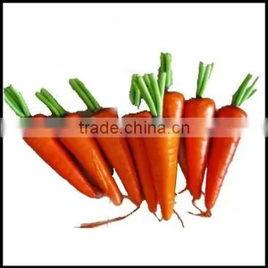 LOOK !!! 2011 BEST-SELLING Artificial Carrot Vegetable thumbnail-1