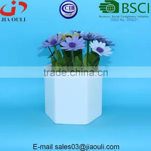 Hexagon White Ceramic Plant Pots Succulent Planters thumbnail-3