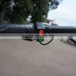 2017 Zhejiang Factory Steel Electric Bike 48v Citycoco With Suspension Scooter Citycoco 2 Wheel Electric Scooter thumbnail-2