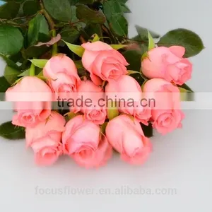 High Quality Spring and Summer Fresh Diana Rose Flowers thumbnail-1