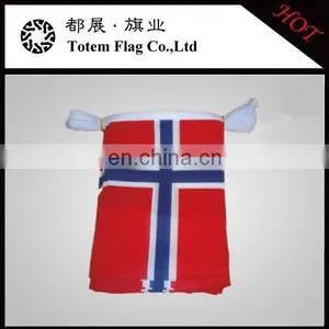 Norway Bunting Flag / Norway Flag For National Day Celebration thumbnail-1