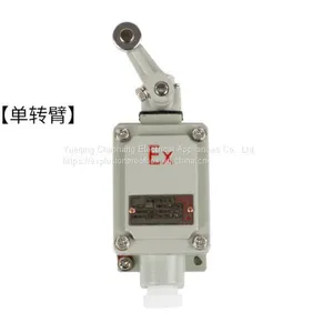 Explosion-proof Travel Switch Limit Switch Bzx51-5d 5L 5Z 5N 5S 5T Explosion-proof Proximity Switch With Double Rocker Arms thumbnail-3