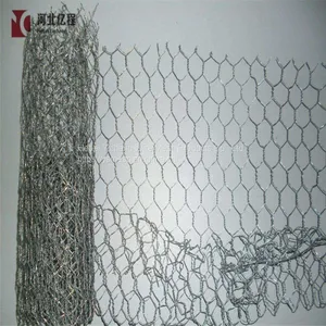 Hot Dip Electro Galvanized Chicken Wire Mesh Hexagonal Wire Mesh With Lowest Price thumbnail-2