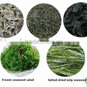 2015 Sun Dried or Machine Dried Kelp Cut Dried Chuka Wakame Seaweed thumbnail-1