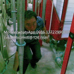 Hot Sale Wheat Flour Mill Machine/wheat Roller Mill/grain Meal Making Equipment thumbnail-5