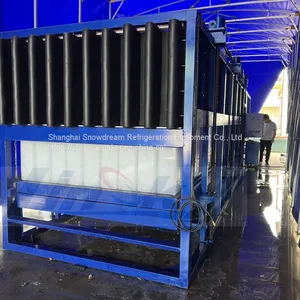 10Ton/24hr Block Ice Machine thumbnail-5